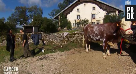 Jean-Paul (L'amour est dans le pré 2016) éleveur de vaches allaitantes