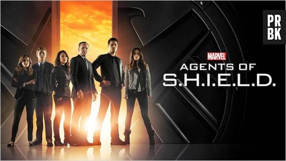 Agents of Shield saison 2 : une nouvelle année à ne pas manquer