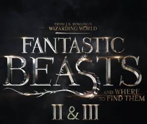 Harry Potter : Les Animaux Fantastiques sera une trilogie au cinéma