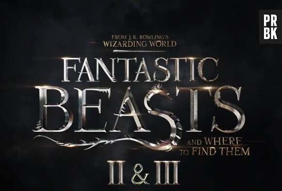 Harry Potter : Les Animaux Fantastiques sera une trilogie au cinéma
