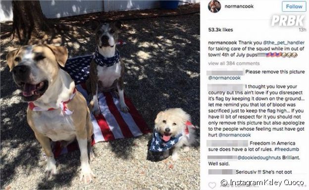 Kaley Cuoco (The Big Bang Theory) : polémique sur Instagram à cause... de ses chiens
