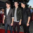 Joe Jonas, Nick Jonas et Kevin Jonas : les trois Jonas Brothers portaient un anneau de pureté.