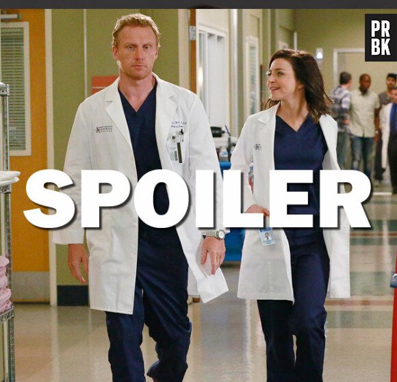 Grey's Anatomy saison 13 : Owen et Amelia, bientôt la rupture ?