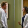 Grey's Anatomy saison 13 : Owen et Amelia, bientôt la rupture ?