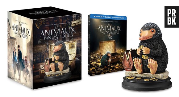 Les Animaux Fantastiques enfin disponible en DVD et Blu-ray