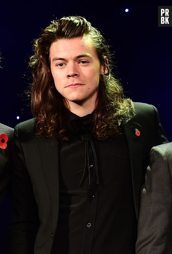 Harry Styles en couple : découvrez sa petite amie Tess Ward