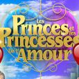 C'est officiel, le casting des Princes de l'amour 5 a été dévoilé !