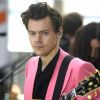 Harry Styles : son beau geste envers une victime de l'attentat de Manchester 