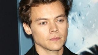 Harry Styles en couple avec un mannequin Victoria's Secret ? (Non ce n'est pas Kendall Jenner)