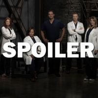Grey&#039;s Anatomy saison 14 : un troisième départ à venir