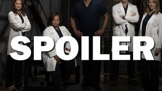 Grey's Anatomy saison 14 : une star des Frères Scott au casting avec un rôle mystérieux