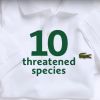 Lacoste s'engage pour défendre les espèces menacées.