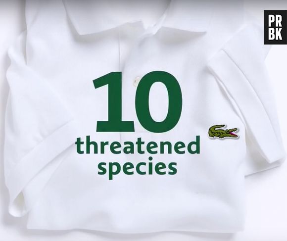 Lacoste s'engage pour défendre les espèces menacées.