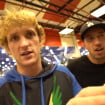 Logan Paul fait son arrivée sur Twitch et cartonne... sans avoir fait de stream !