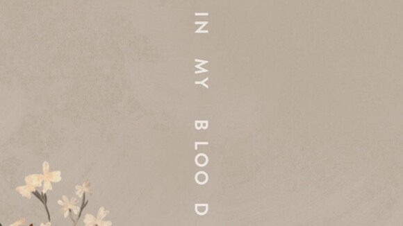 "In My Blood" : Shawn Mendes de retour avec une ballade romantique ?
