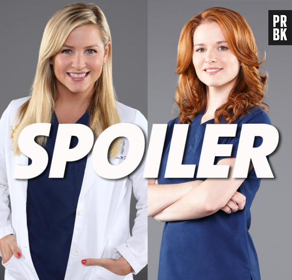 Grey's Anatomy saison 14 : des indices sur les départs de Sarah Drew et Jessica Capshaw