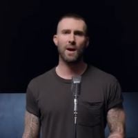 Clip &quot;Girls Like You&quot; : Maroon 5 fait le plein de stars pour rendre hommage aux femmes