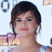 Selena Gomez perd 1 million de followers sur Twitter : Demi Lovato lui passe devant