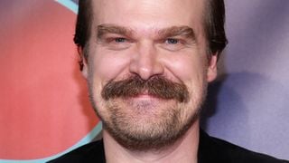 David Harbour (Stranger Things) marie deux fans de la série