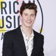 MTV EMA 2018 : Shawn Mendes vainqueur