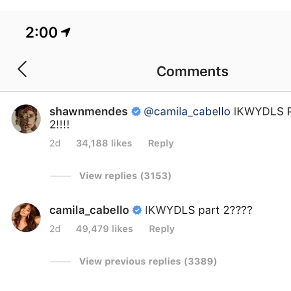 Camila Cabello et Shawn Mendes : une nouvelle collaboration est en route