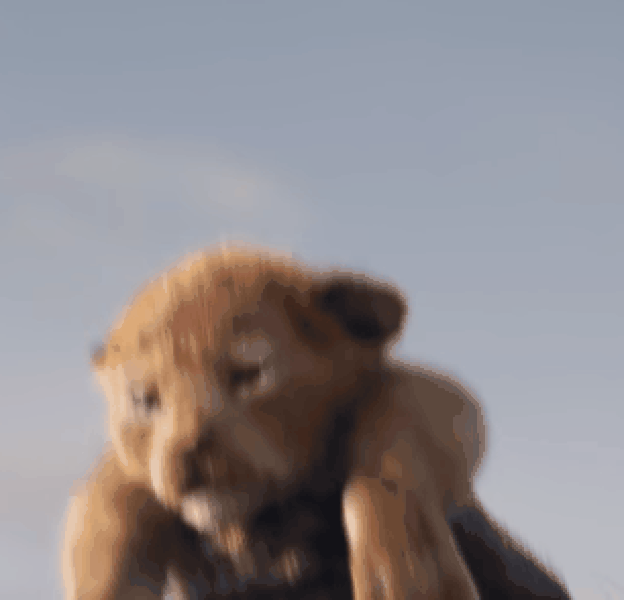 Le Roi Lion : un simple copier/coller pour le remake ? Disney se défend