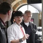 Pauley Perrette (NCIS) "terrifiée" par Mark Harmon : "J'en fait des cauchemars"