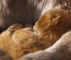 Le Roi Lion 2019 : faut-il voir le nouveau film de Disney ?