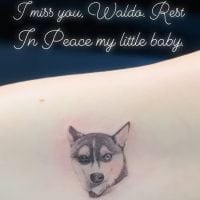 Joe Jonas et Sophie Turner en deuil : un tatouage commun pour rendre hommage à leur chien mort