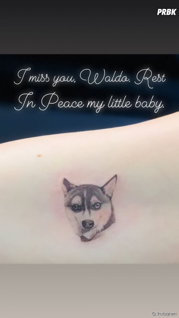 Comme Joe Jonas, Sophie Turner se fait un tatouage pour rendre hommage à leur chien mort