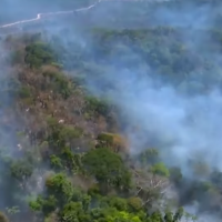 L'Amazonie ravagée par des feux de forêt violents, les internautes entre larmes et rage