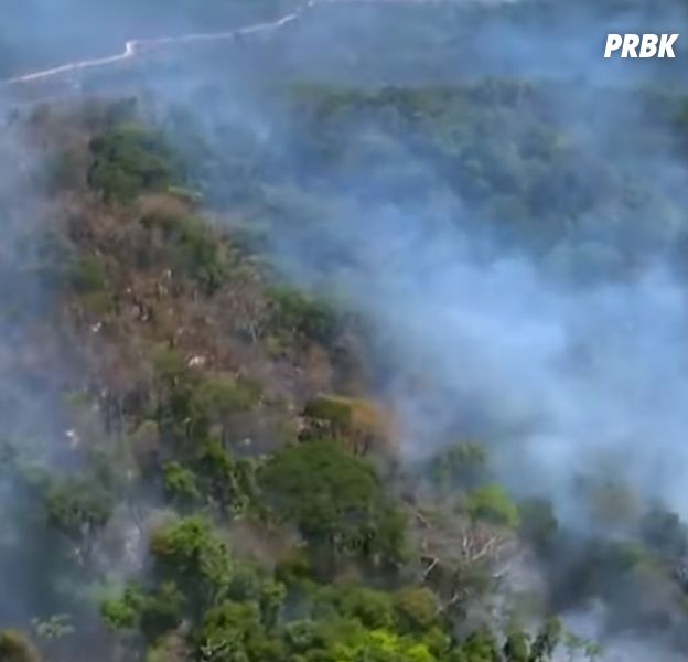 L'Amazonie ravagée par des feux de forêt violents, les internautes pleurent