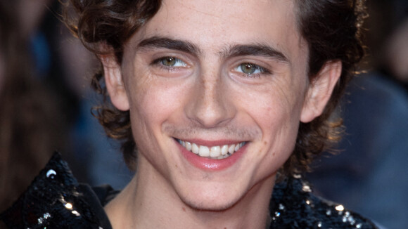 Timothée Chalamet : 5 choses que vous ne saviez (peut-être) pas sur l'acteur