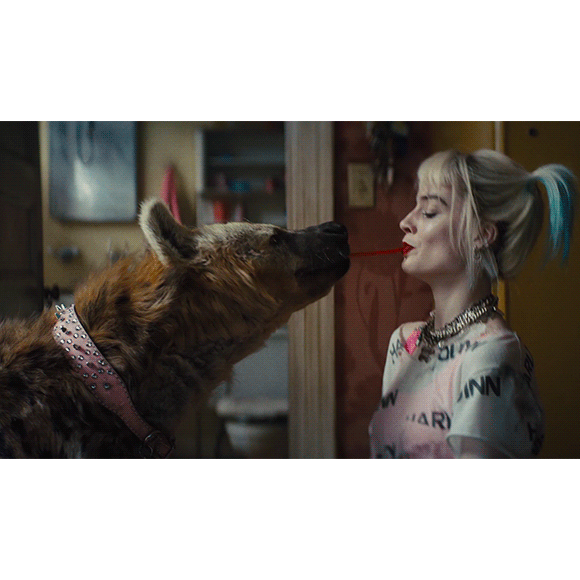 Birds Of Prey au cinéma dès le 5 février.