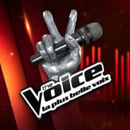 The Voice 2020 : combien gagnent les candidats ? Un ancien révèle son salaire