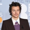 Harry Styles agressé et victime d'un vol lors de la Saint-Valentin