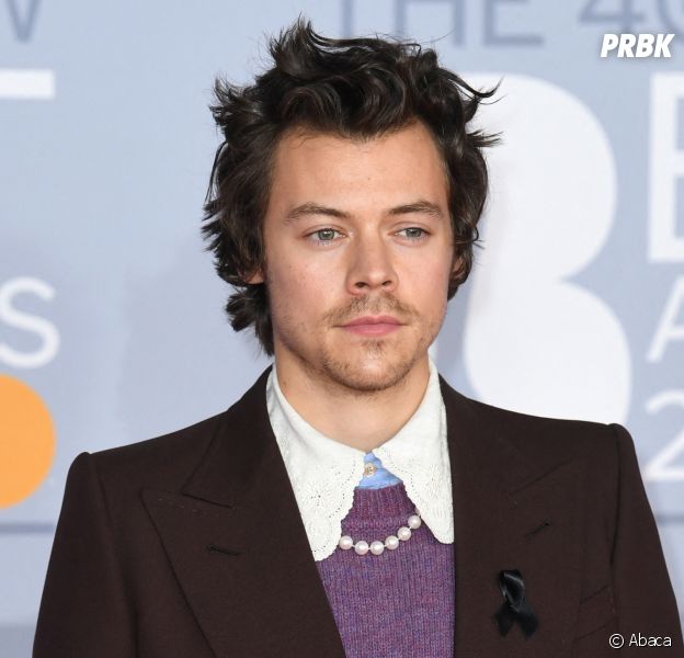 Harry Styles agressé et victime d'un vol lors de la Saint-Valentin