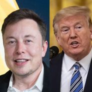 Déconfinement : en soutenant Trump, Elon Musk se fait lyncher, y compris par ses propres fans