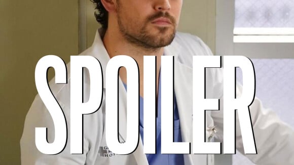 Grey's Anatomy saison 17 : une révélation sur l'état de santé de DeLuca dans Station 19