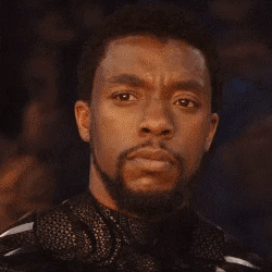Black Panther 2 : une suite encore au programme ? Ce que l'on sait déjà