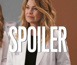 Grey's Anatomy saison 17 : le nouveau revenant de retour pour d'autres épisodes ?