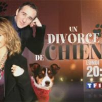 Un divorce de chien avec Elie Semoun sur TF1 ce soir ... bande annonce