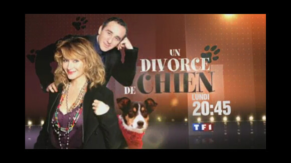 Un divorce de chien avec Elie Semoun sur TF1 ce soir ... bande annonce