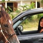 Foudre saison 4 ... de retour sur France 2 aujourd'hui