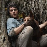 Love and Monsters : le film Netflix avec Dylan O&#039;Brien peut-il avoir une suite ?