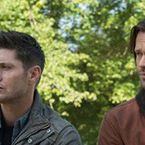 Jensen Ackles et Jared Padalecki en froid ? Les stars de Supernatural mettent les choses au clair