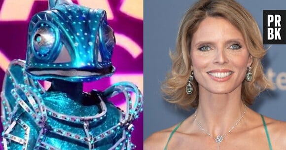 Le caméléon serait-il Sylvie Tellier ?