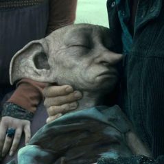 Harry Potter : les fans trop à fond, leurs hommages à Dobby sont une vraie cata écologique