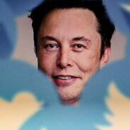 Twitter : en découvrant cette nouveauté, Elon Musk a pété un plomb et tout viré en à peine 2h