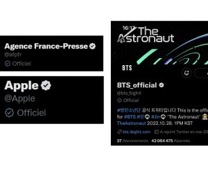 Twitter : le badge "Officiel" n'a duré que deux heures
